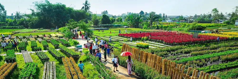 Điểm danh 8 địa điểm du lịch Đồng Tháp