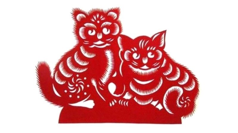 Tử vi tuổi Mão 2025