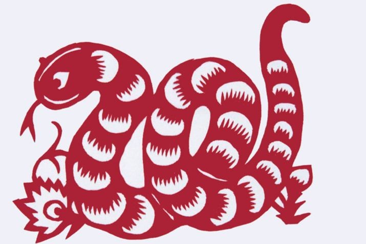 Tử vi tuổi Tỵ năm 2025